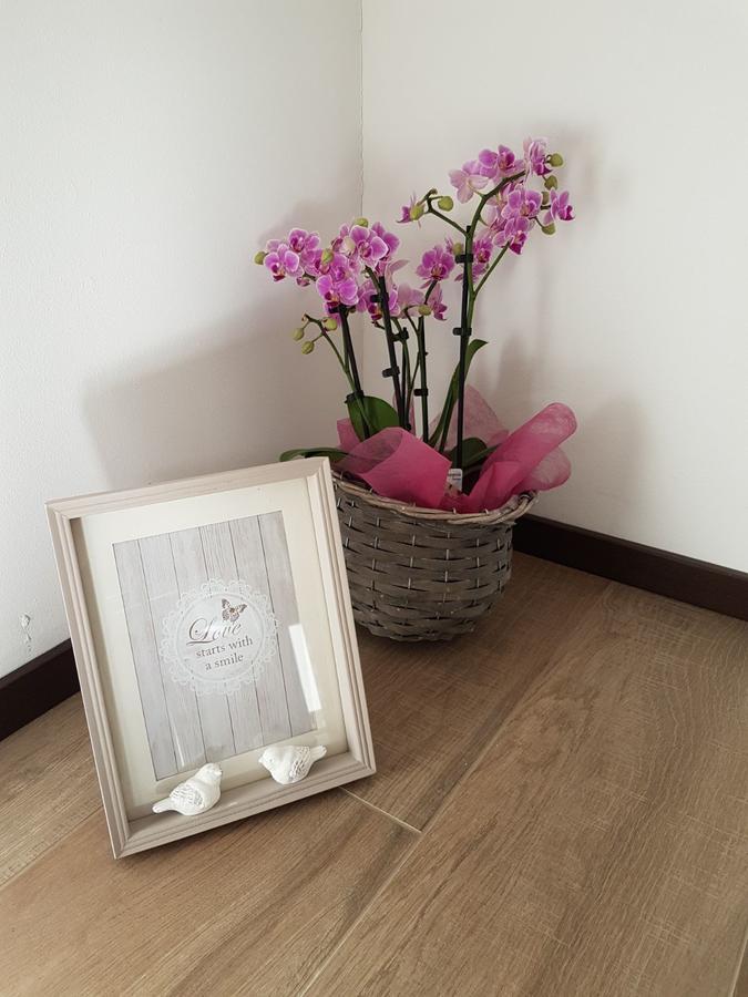 Masetto Egidio Eco-Agritur Βίλα Strigno Εξωτερικό φωτογραφία